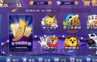 森林舞会手机版在线-森林舞会，在移动设备上体验自然韵律的奇妙之旅